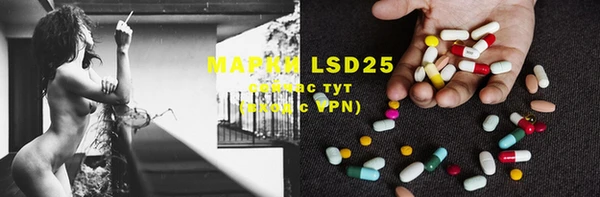 PSILOCYBIN Бронницы