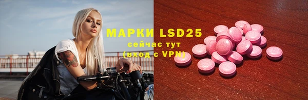 PSILOCYBIN Бронницы