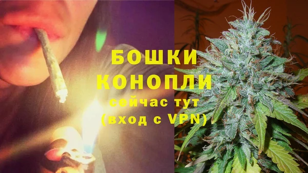 PSILOCYBIN Бронницы
