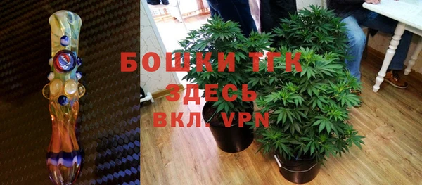 PSILOCYBIN Бронницы