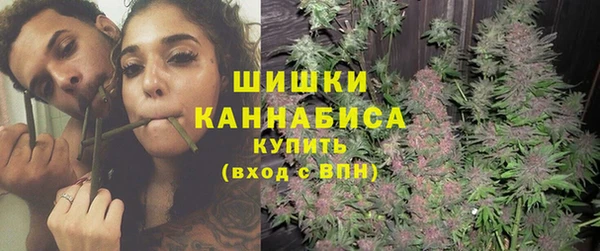 PSILOCYBIN Бронницы