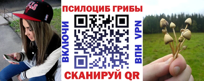 Галлюциногенные грибы Cubensis  Купить закладки  Аткарск 